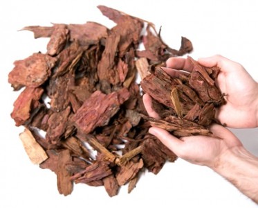 Кора сибирской лиственницы крупная 5-10 см